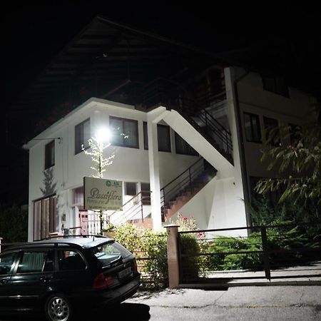 Passiflora Hotel วอยนาซา ภายนอก รูปภาพ