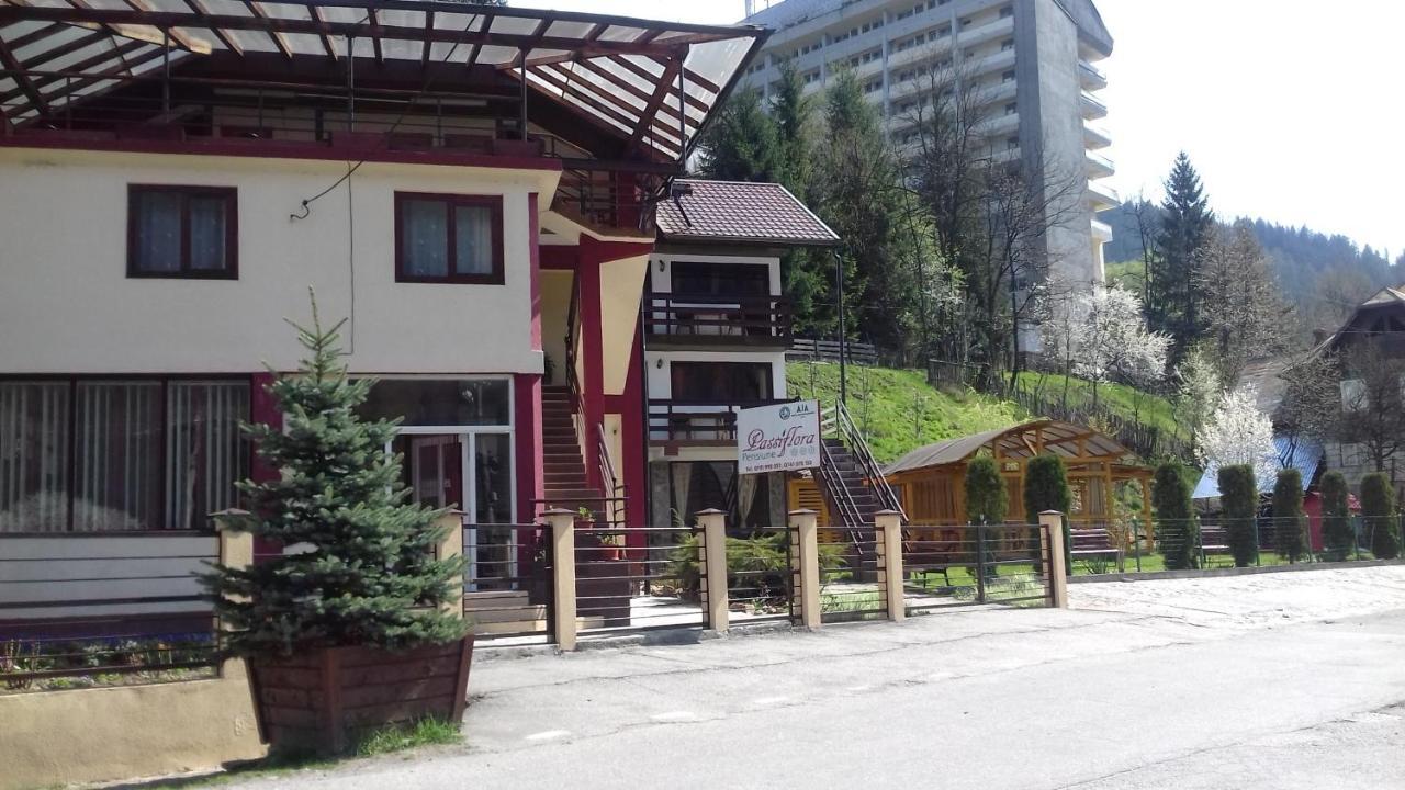 Passiflora Hotel วอยนาซา ภายนอก รูปภาพ